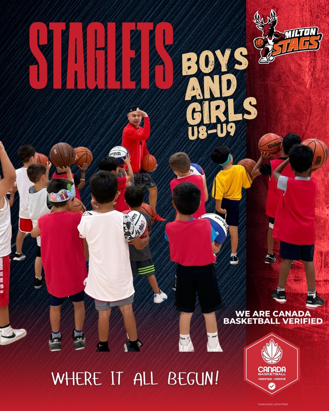 Staglets